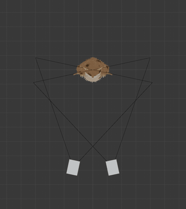 Bolle vor Stereokamera